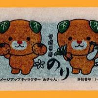 愛媛県産和紙アルミ無添加味海苔10切５枚